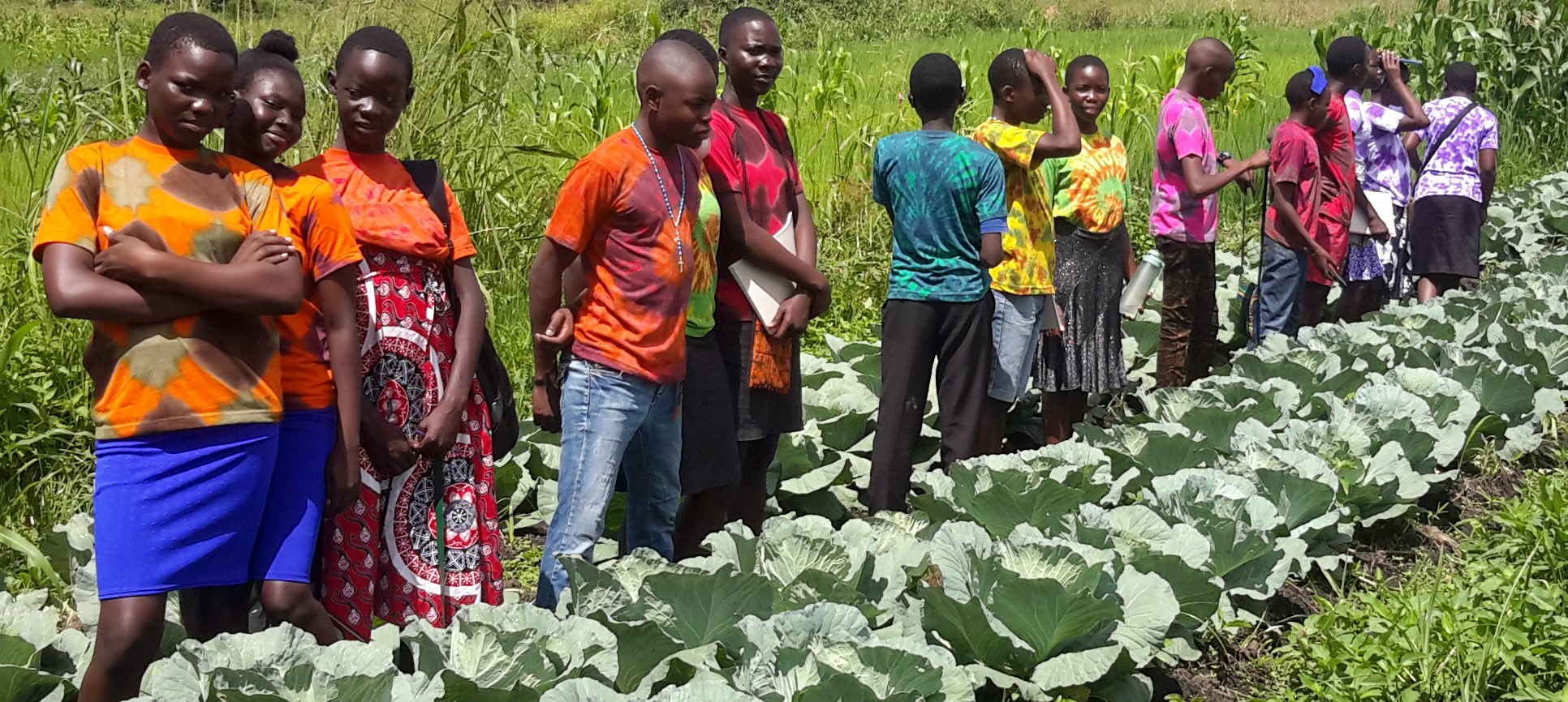 Students learning the best sites and soils for growing cabbage.